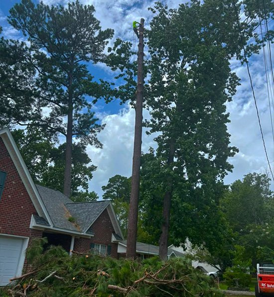 Cris Tree Services Equipment