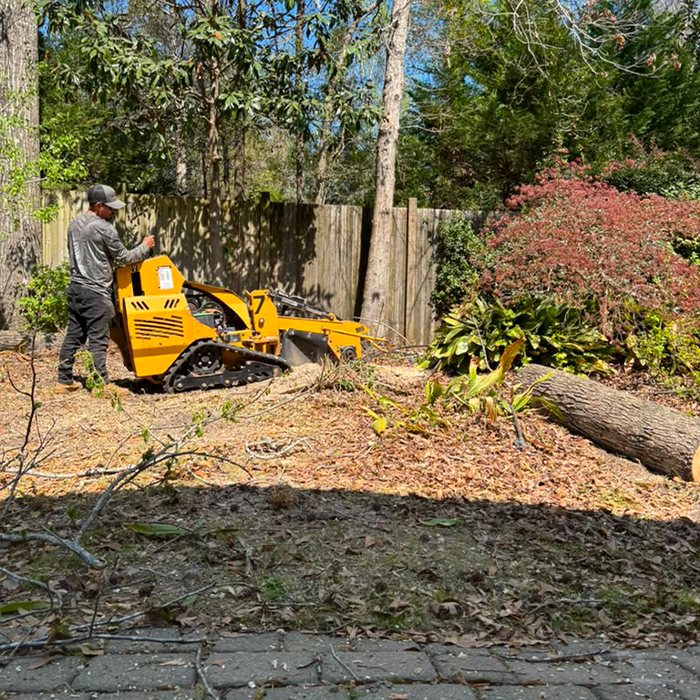 Tree Removal Work