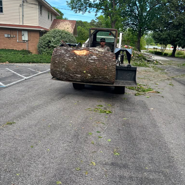 Tree Trimming Service