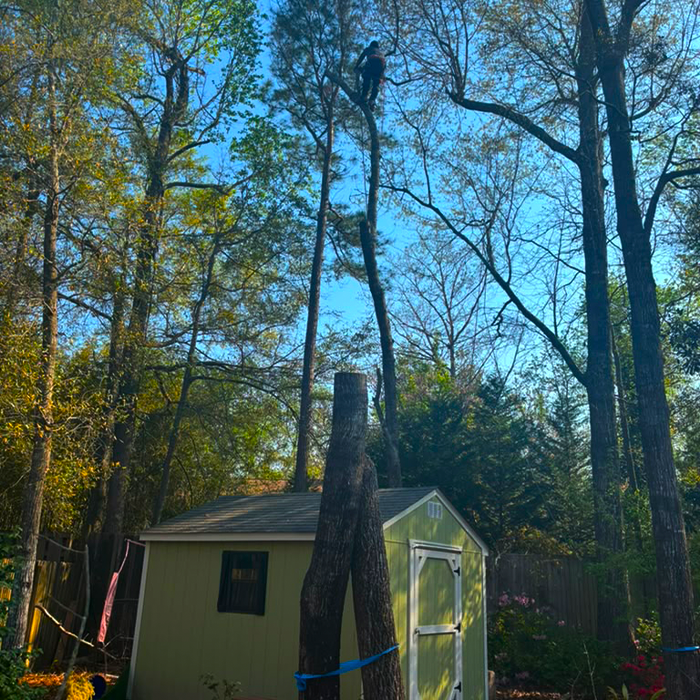Fence Installation