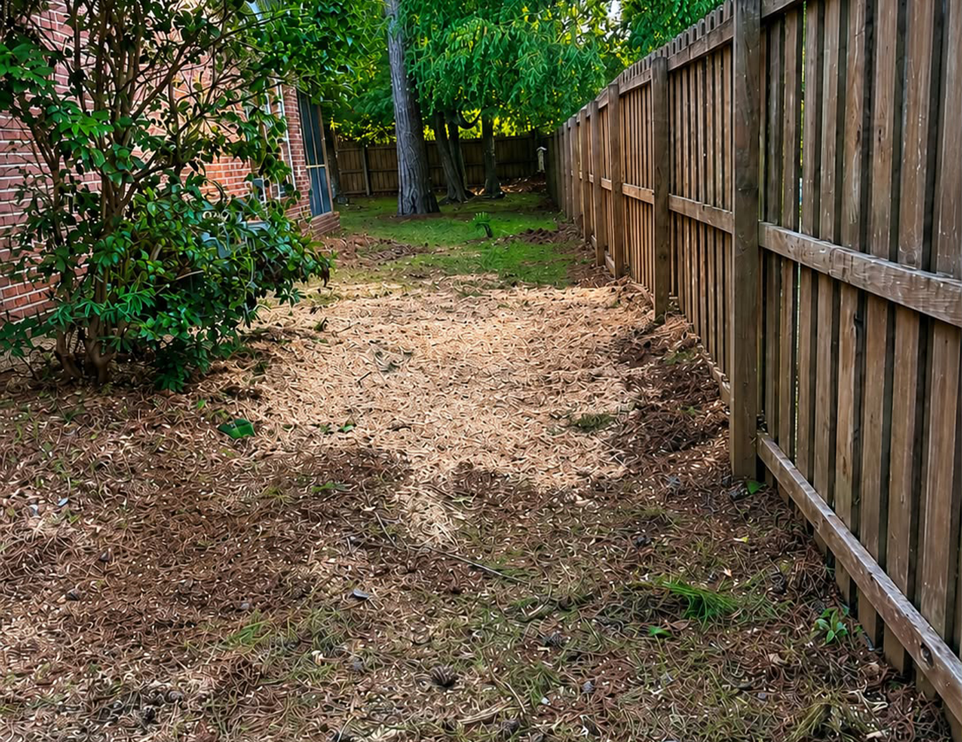 Stump Grinding and Clearing