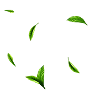 Tree Image
